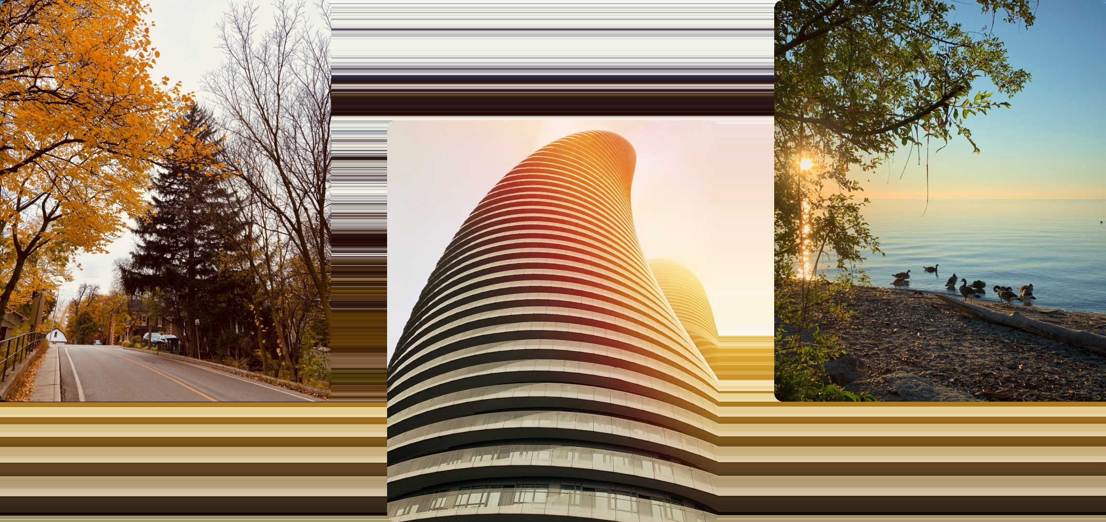 /img/landing/various_landscape.png